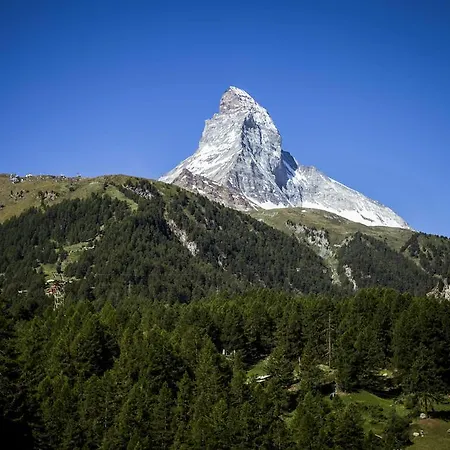 Haus Galileo شقة *